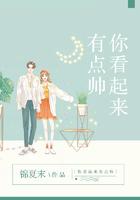 你看起来有点帅大结局