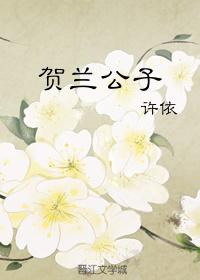 贺兰公子的结局