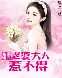 老婆大人宠宠我