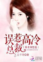 误惹豪门高冷总裁宠妻上瘾