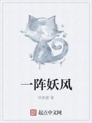 一阵妖风吹过下一句