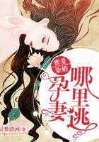 暖婚蜜爱孕妻宠入怀