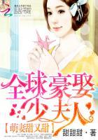 全球豪娶少夫人