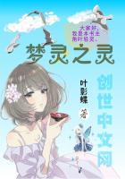 梦幻之灵怎么样