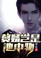 赘婿岂是池中物陈卫东