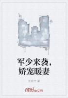 军少宠妻实录免费阅读