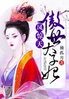 凤惊天傲世太子妃 独孤月