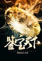 鉴宝天下免费阅读