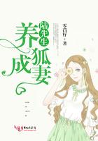 陆先生的宠妻计划全文阅读