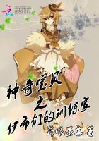 神奇宝贝伊布游戏攻略