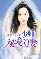 少帅的秘密新宠