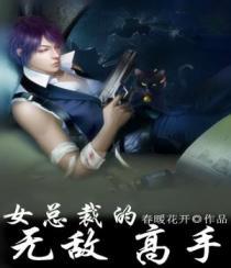 女总裁的无敌高手 坠落的流星