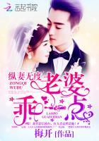 纵妻无度老婆乖一点txt