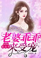 boss追妻49天免费阅读