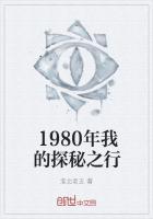 1980年我的探秘之行是什么