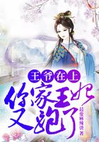 你家王妃又去开店了