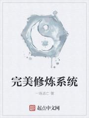 完美修炼境界划分