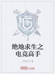 绝地求生之电竞之王