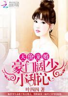 豪门婚姻天价小甜心妻