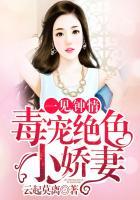 一见钟情毒宠绝世小娇妻
