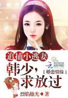 追捕出逃少夫人全文阅读宝贝