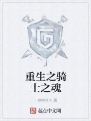 重生骑士的