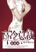 高冷总裁别乱来