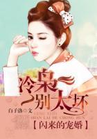 闪来的宠婚冷枭别太坏未删减