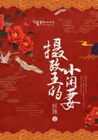 摄政王的小闲妻人物介绍
