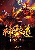 神皇之气是什么武学