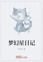 梦幻の星游戏攻略