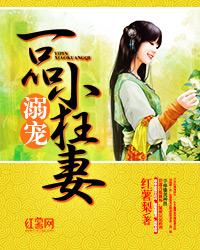 溺宠一品小狂妻TXT