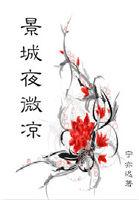 男主角叫夜景寒的