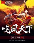 鸣凤天下TXT
