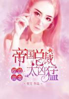 枕边甜妻帝国总裁太凶猛txt