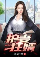 护妻狂婿在线阅读