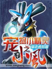 宠物小精灵之游风