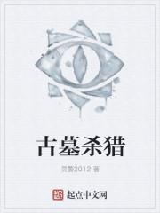 古墓猎手增强版攻略