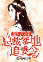 龙凤双宝总裁爹地追妻令 - 最新章节免费读全文免费