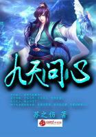 九天问心录