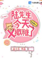 陆先生今天告白了吗