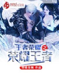 王者荣耀之荣耀王者第二部