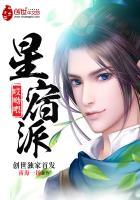 星宿派简介
