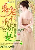 重生枭宠大佬宠妻火辣辣