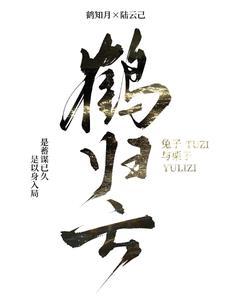 鹤归云深短剧免费观看全集