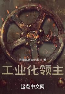工业化领主txt