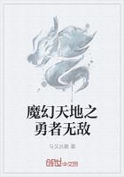 魔幻天地之飞魔战士在线阅读