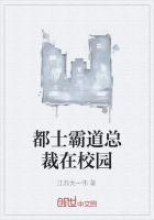 霸道总裁从校园到职场的