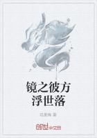 镜界的彼方未来篇