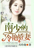 南少宠妻无度全文阅读